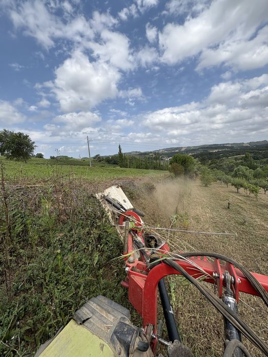 Serviços agricolas e florestais / jardins / corte de arvores/ vedacoes
