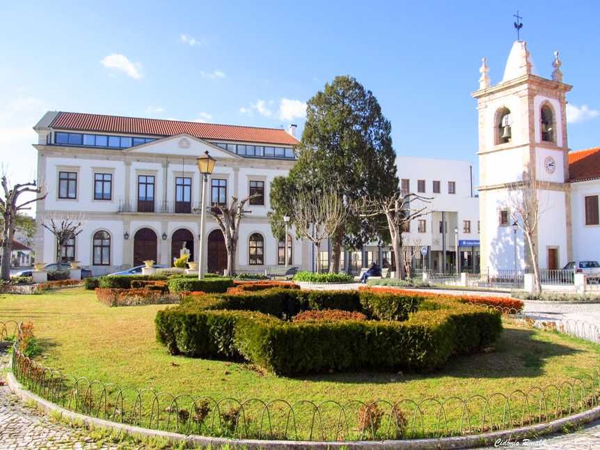 Terreno Urbano Poiares 1500m2