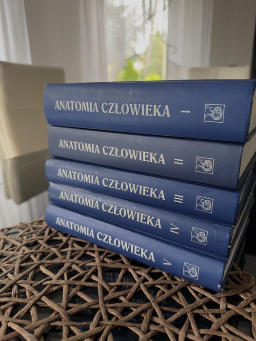 Anatomia człowieka bochenek PZWL