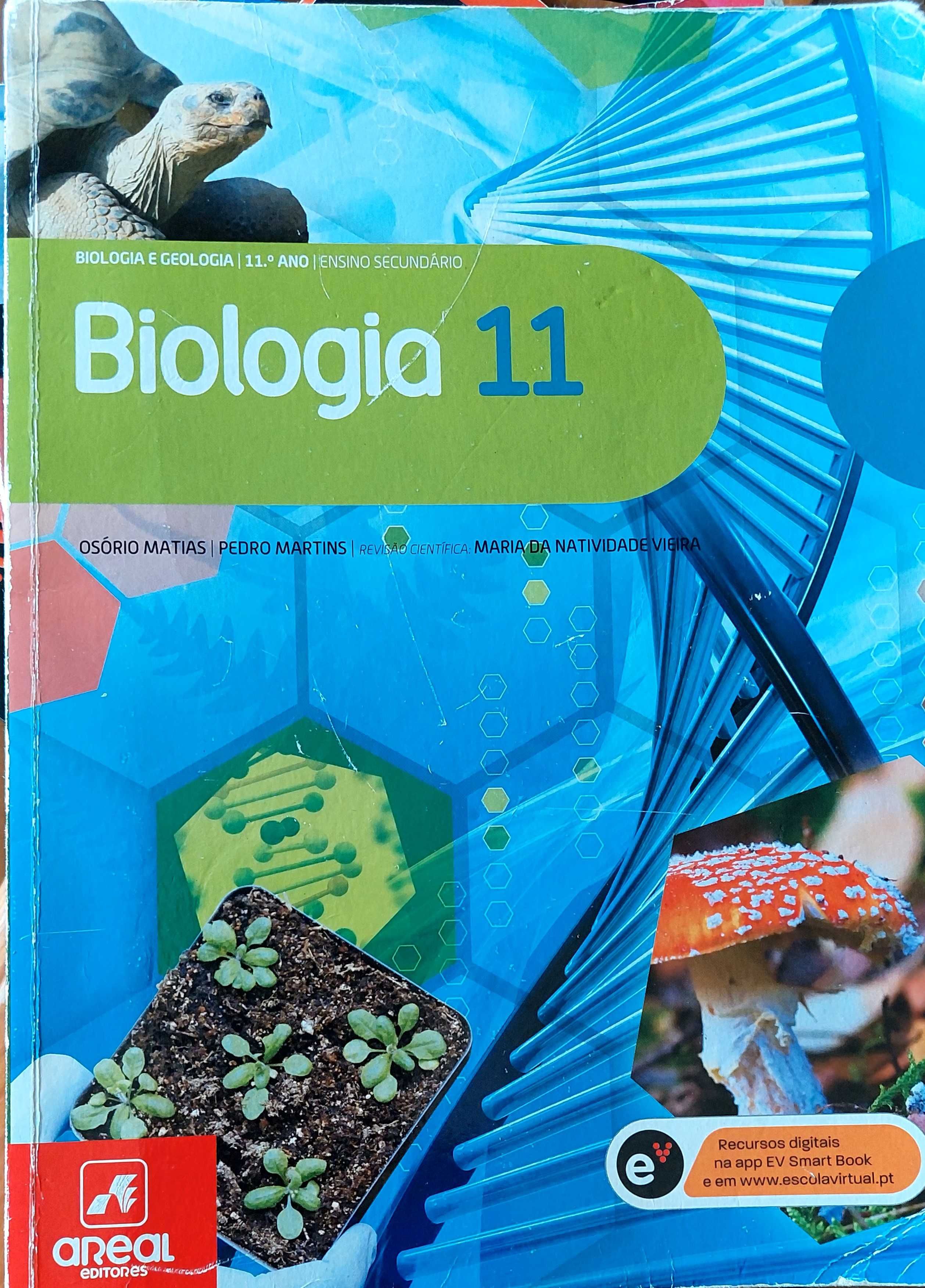 Ensino Fundamental II geologia Biologia - Recursos de ensino