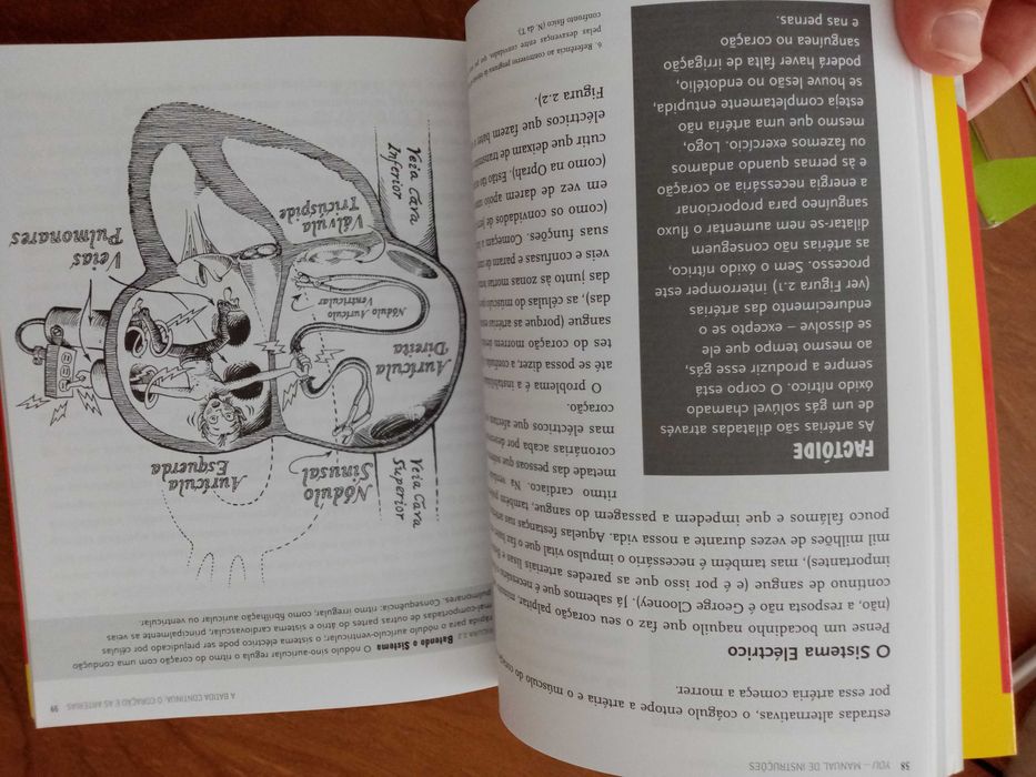 You Manual de instruções