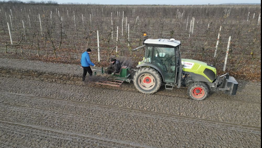 Sadzenie drzewek gps rtk 1cm sadzenie drzew i krzewow