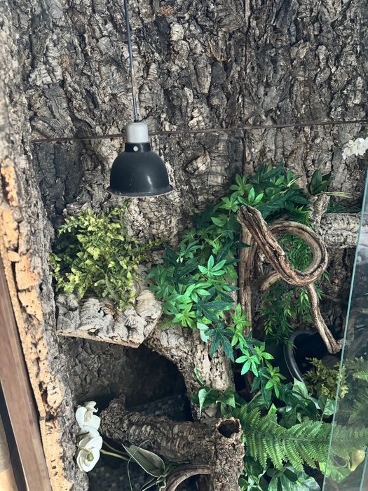 Terrarium 120 agama legwan kameleon bazyliszek