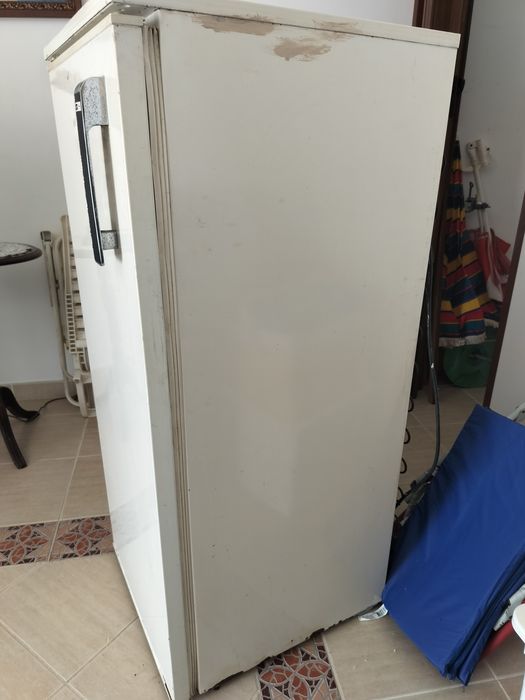 Arca congeladora vertical Lec