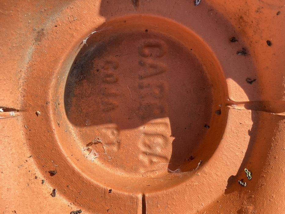 Cumes de 4 vias  novas , Carriça