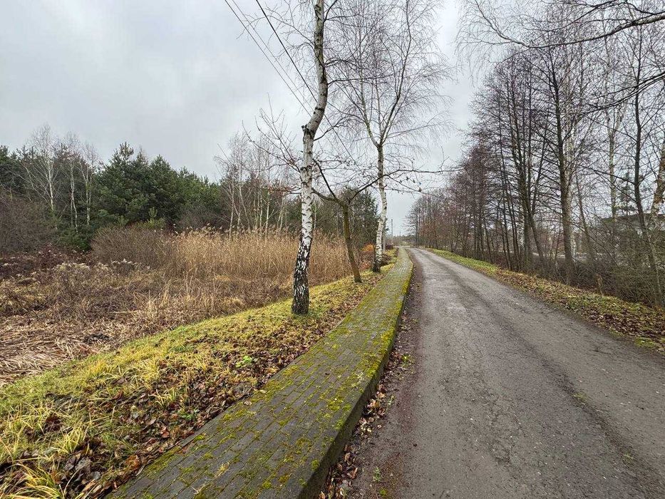 зем.ділянка,під забудову|Паланки|10сот