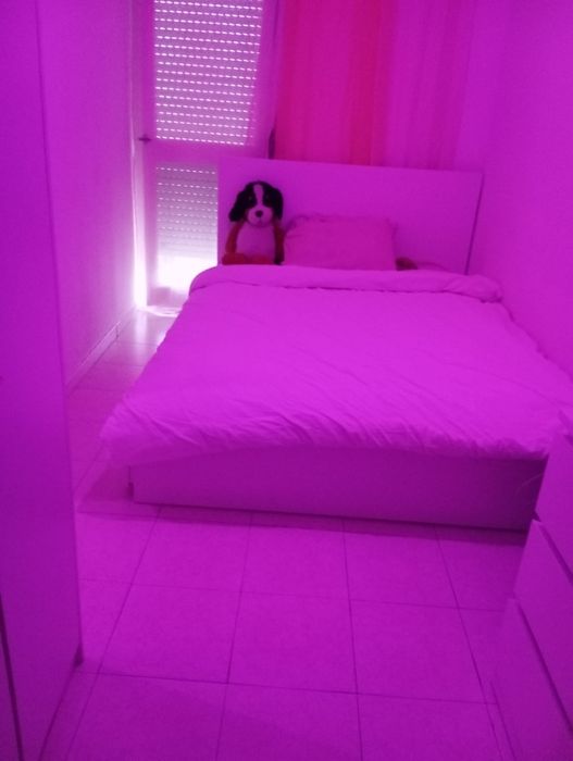 Quarto  para arrendar