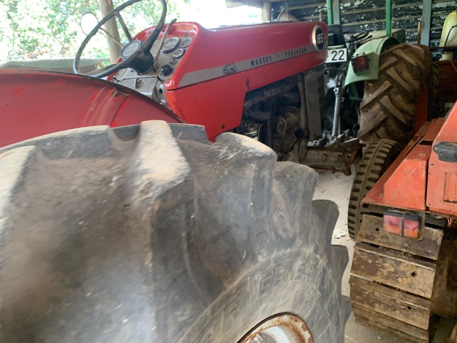 Massie Fergunsou 165 impecável Mafra