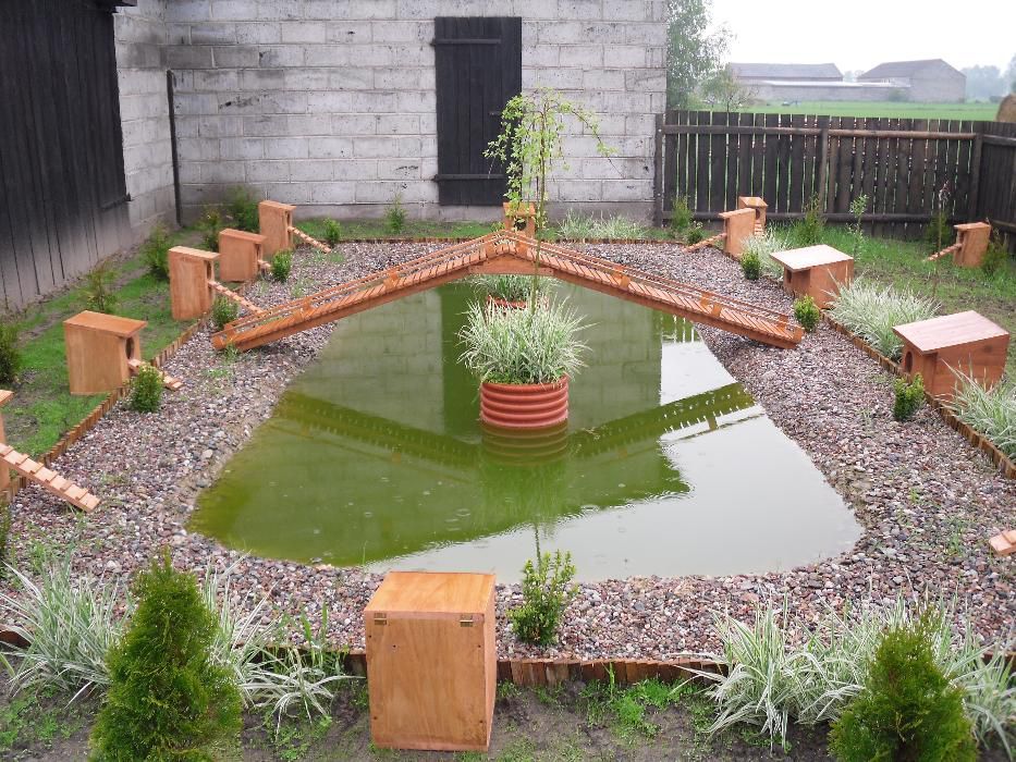 budka budki lęgowe dla kaczek bażantów kur i innych WYSYLKA