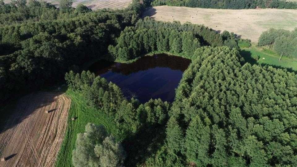 Zdjęcie 3