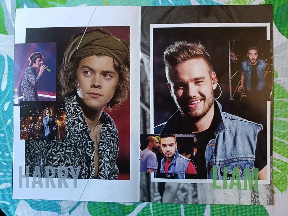 DVD  - One  Direction -