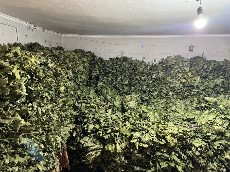 Віники для бані