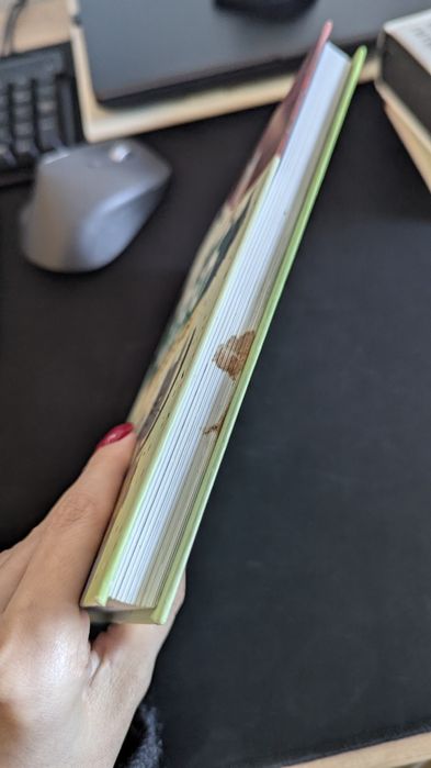 Книга 36 і 6 котів компаньйонів