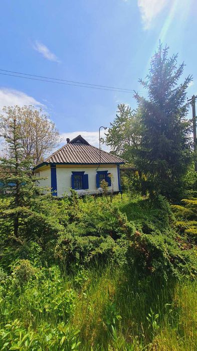 Продам БУДИНОК  в с. ЧИКАЛІВКА під ДАЧУ. 13000