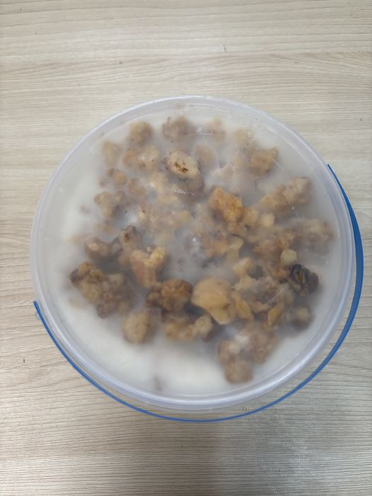 Продам сало в банці