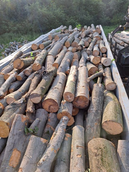 Дрова твердих порід