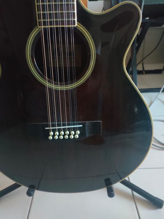 Viola 12 cordas, como nova