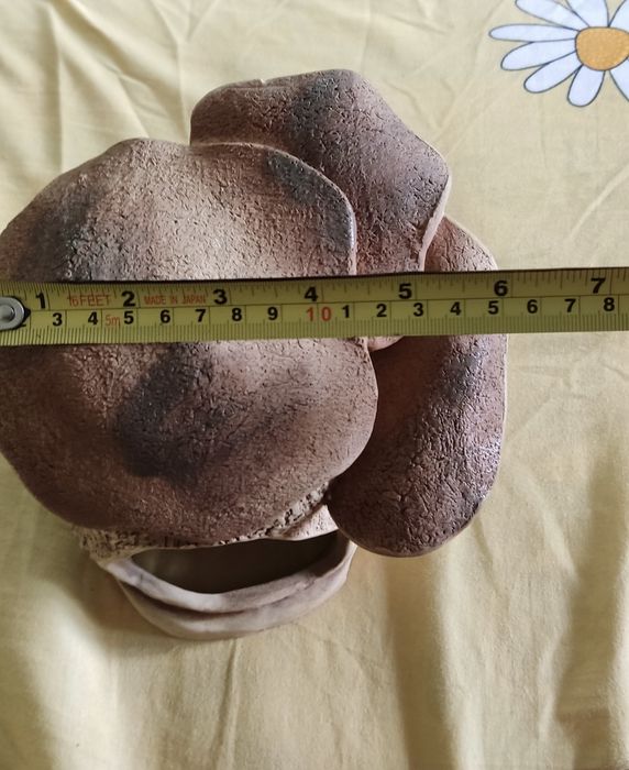 Домик для черепахи