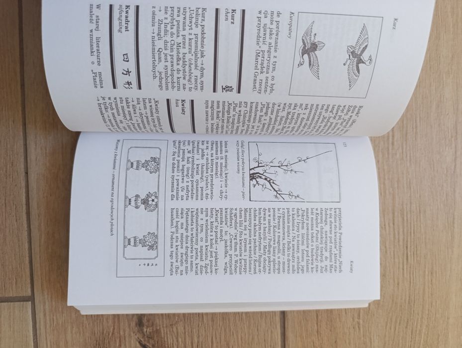 Książka Symbole Chińskie Słownik