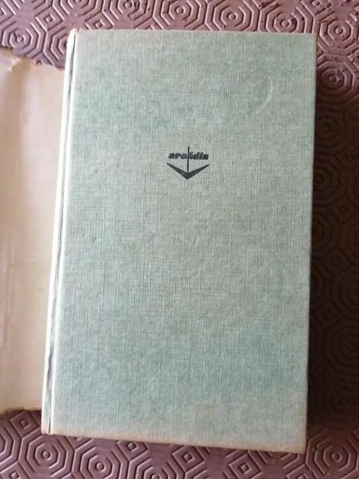 livro Domingo a Tarde - Fernando Namora