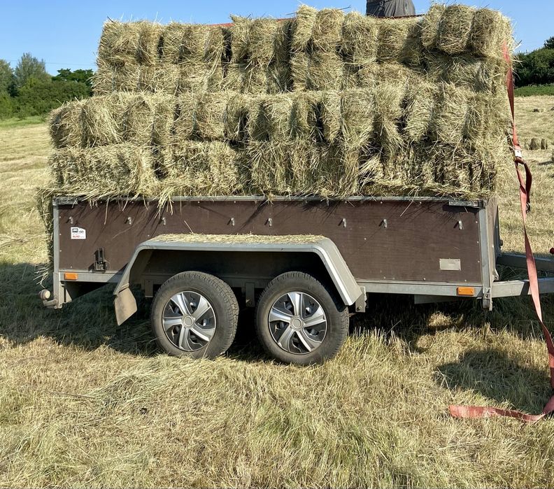 Сіно для тварин у  тюках цього року  зелене запашне, тюки стандартні,