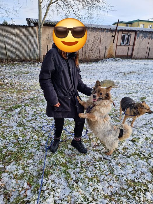 Kolejna zima za kratami i tak od kilku lat. Nikt go nie chce