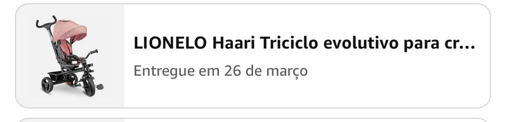 Triciclo de passeio evolutivo
