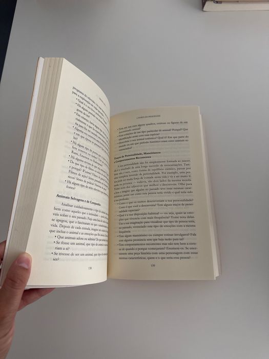 Livro - A porta da felicidade - Denise Linn