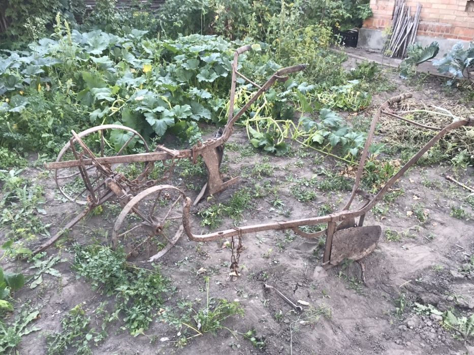 Кінний плуг розпашка