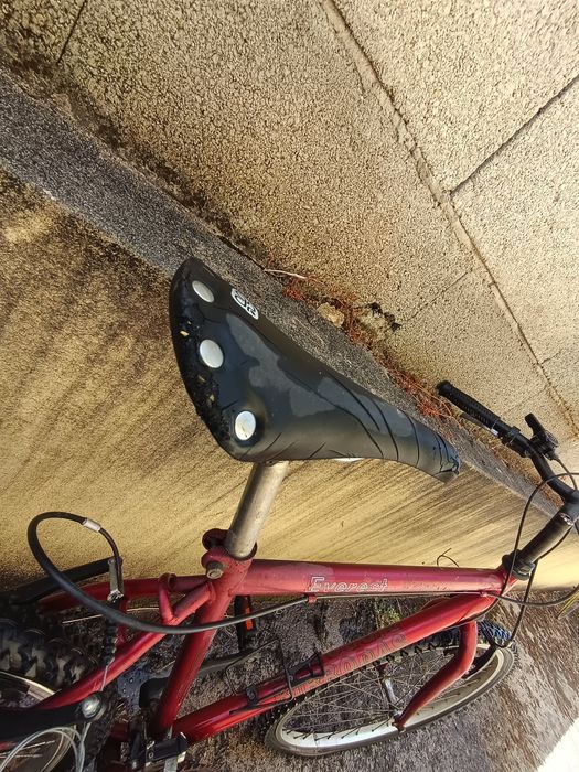 Bicicleta BTT Everest