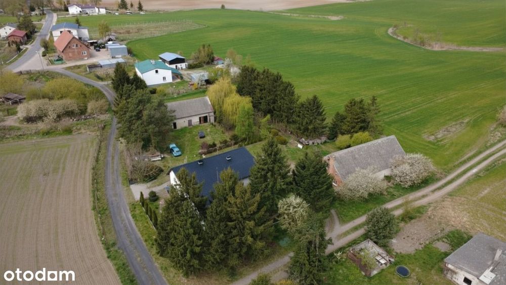 Dom dla dwóch rodzin na 1,8 ha – dwie niezależne księgi wieczyste - View 4