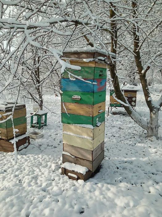 вулики порожні вулики з бджолами бджлосімї