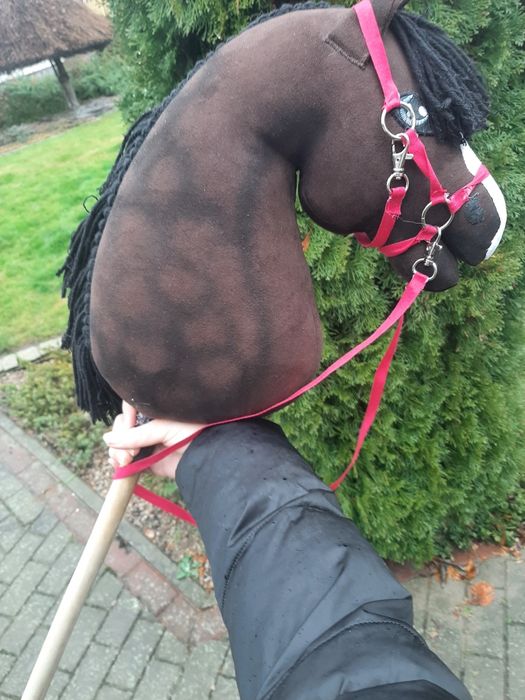 Hobby Horse Gniady