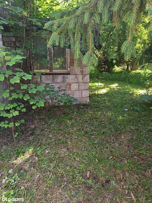 Prywatna Enklawa 5,32 ha z Lasem i Stawem Posiadłość Gzin - Widok 4