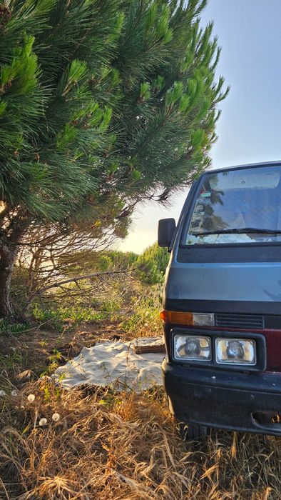Campervan Vanette C220
