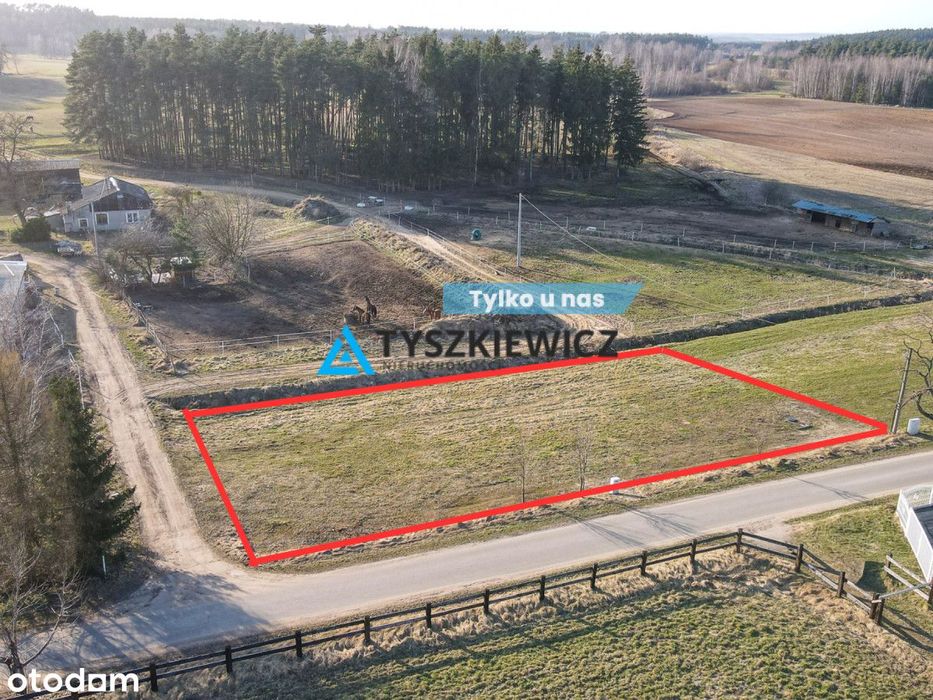 Działka z WZ - Boroszewo