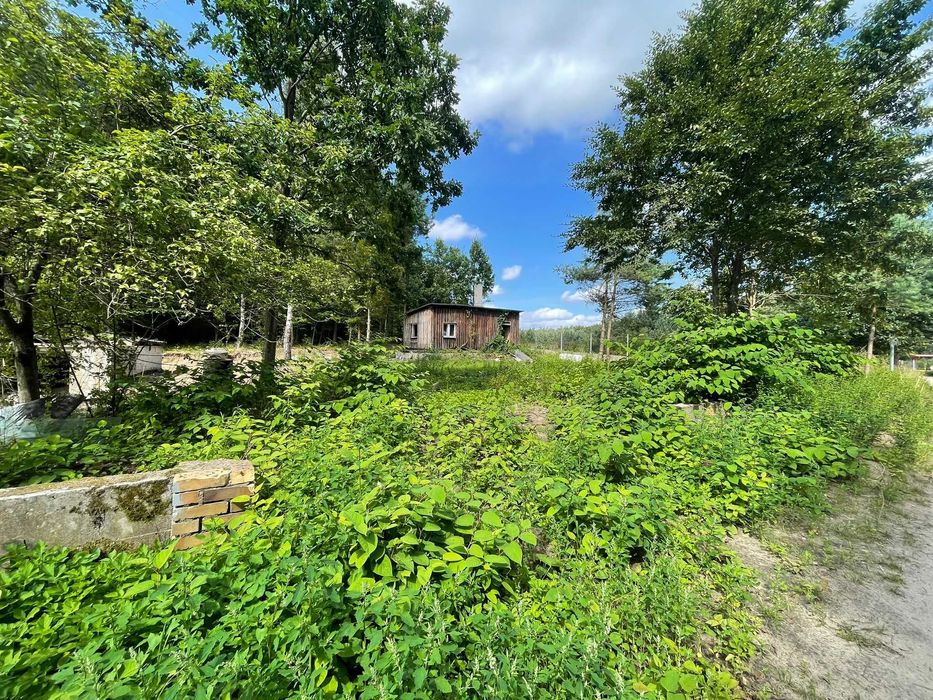 DZIAŁKA ROBAKOWO / LUZINO działka budowlana 3 min do s6 MEDIA w Drodze