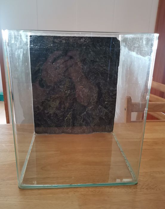 Aquário 30*30*35 (troca)