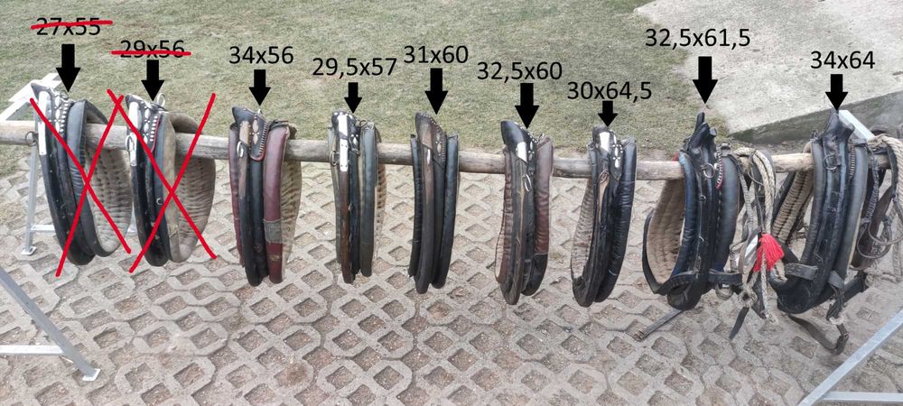 kon klacz chomąto uprząż