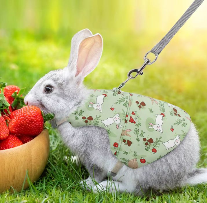 Szelki i smycz dla królika, rozmiar M, model 1