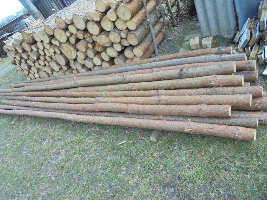 Słupki, stemple, żerdzie