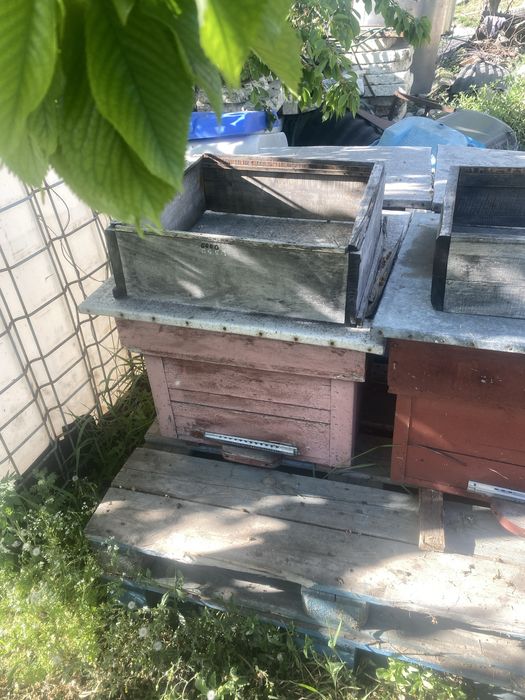 Продам вулики бу