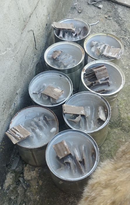Окопні свічки парафін