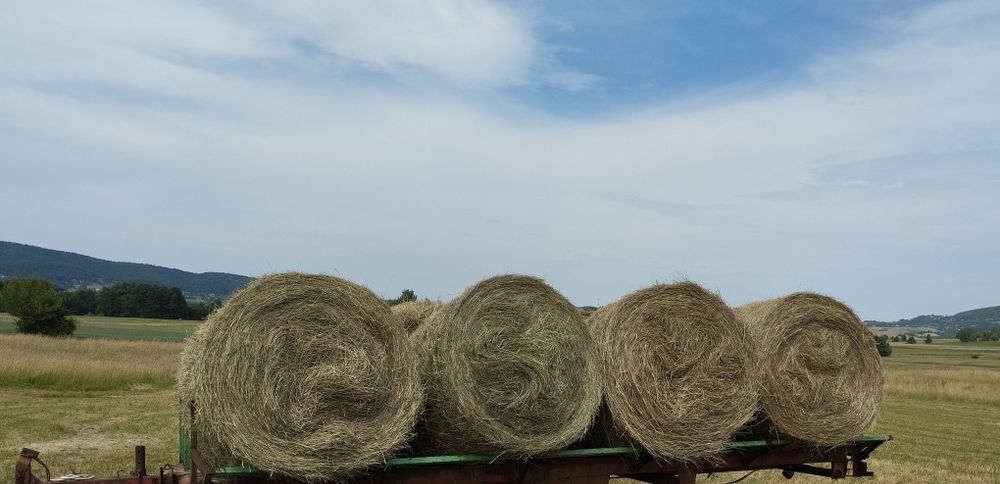 Sprzedam bale ze siana