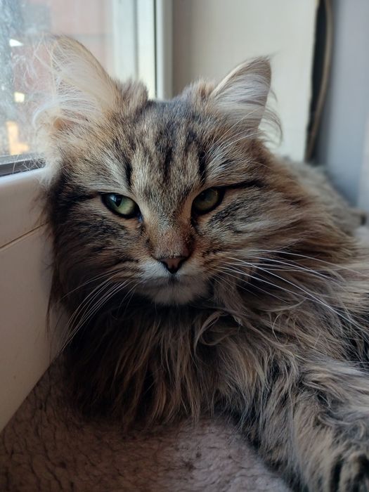 Девочка Джина 8 месяцев