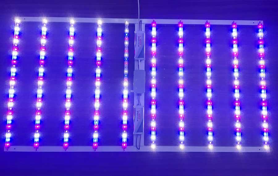 Фітолампа для розсади професійна 100W, мультиспектр, 1,0 х 0,5м