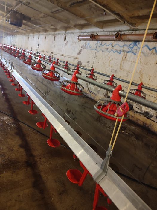 Mycie Budynków Gospodarczych! Czytaj Opis...