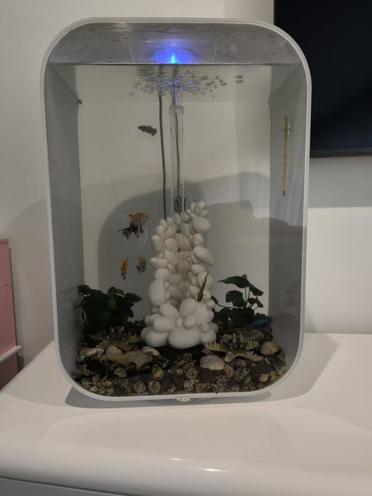 Aquário Biorb 60 L