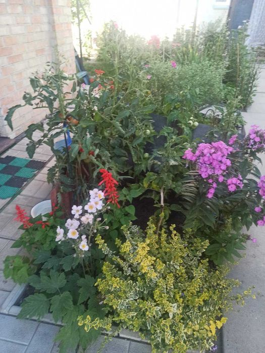 Продаж 147м будинку+будиночок для батьків з газовим опаленням.