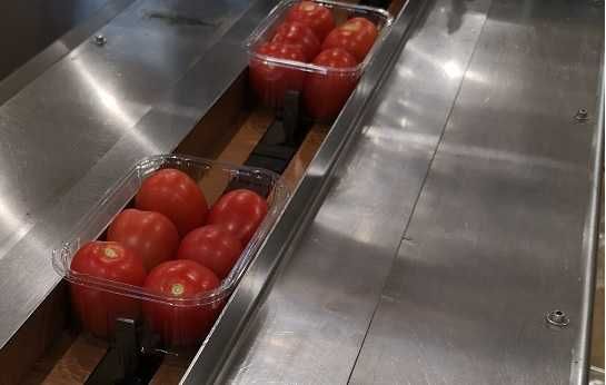 Maszyna flowpack do pakowania włoszczyzny, marchwi, papryki wynajmę.